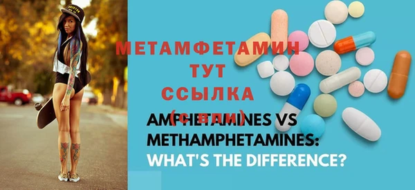 шишки Елизово