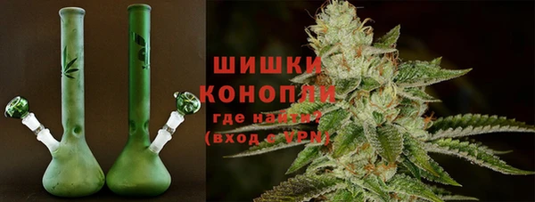 spice Елабуга