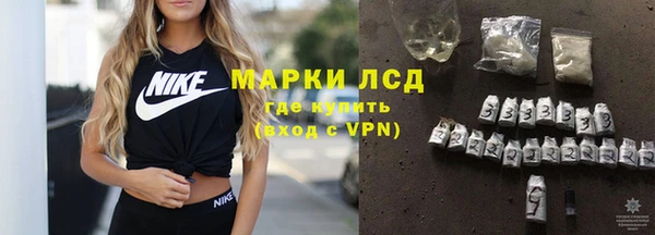 шишки Елизово