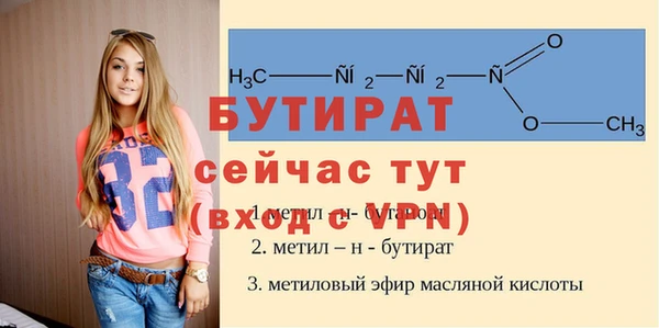 шишки Елизово