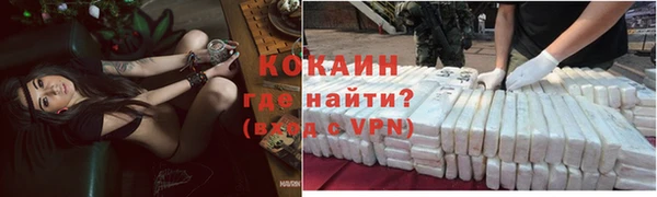 шишки Елизово