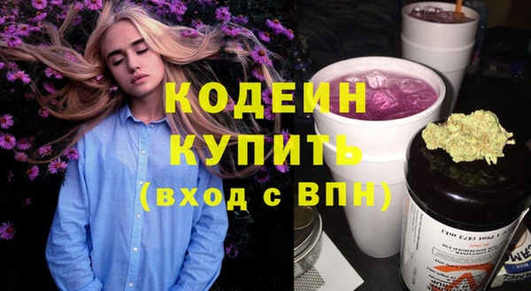 шишки Елизово