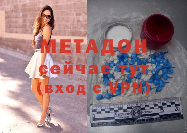 шишки Елизово