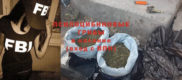 spice Елабуга