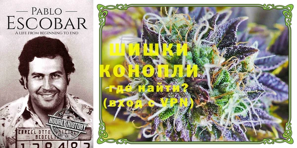 spice Елабуга