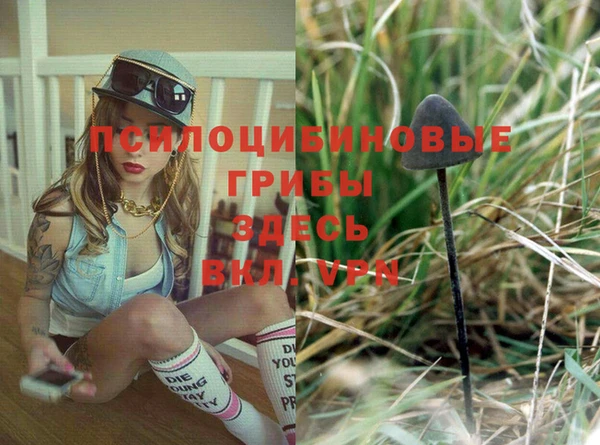 spice Елабуга