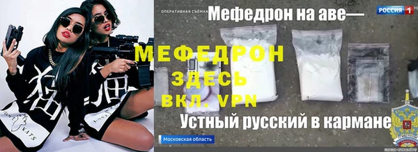 шишки Елизово