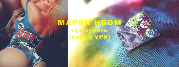 шишки Елизово