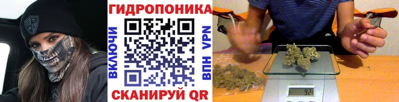 Каннабис White Widow  что такое   Иланский 
